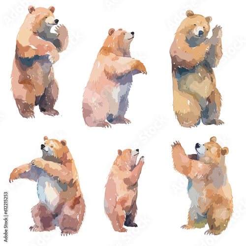 watercolor bear clipart for graphic resources