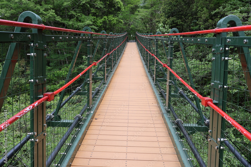 April 29, 2023: Nantou Aowanda National Forest Recreation Area April 29, 2023: Nantou Aowanda National Forest Recreation Area