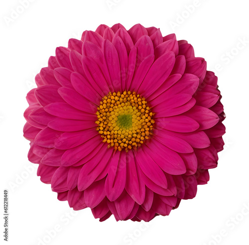 pink flower isolated on transparent background, extracted, png file