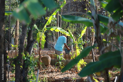 Farmers growing vegetables in Thailand