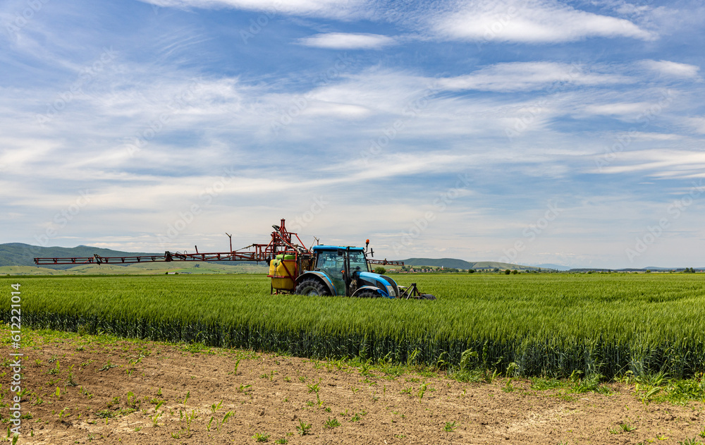Fototapeta premium Tractor sprays an oat field