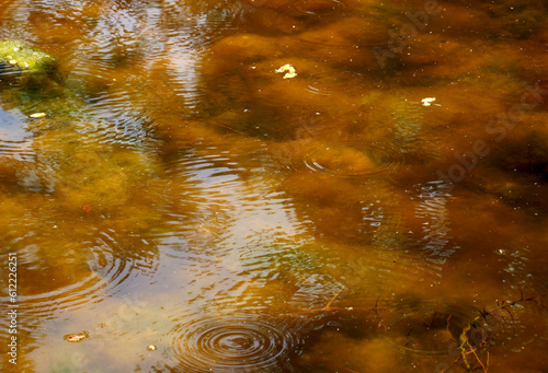 An artificial pond with rainwater droplets and dark algae at the bottom
