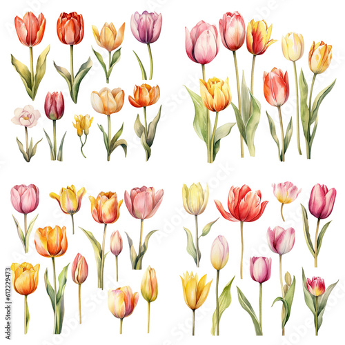 watercolor set of tulip in different colors and designs  generative ai