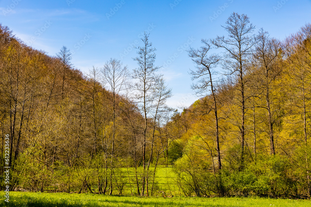Saspowska Valley nature park and reserve along Saspowka creek in spring season within Jura Krakowsko-Czestochowska Jurassic upland near Cracow in Lesser Poland Saspowska Valley nature park and reserve along Saspowka creek in spring season within Jura Krakowsko-Czestochowska Jurassic upland near Cracow in Lesser Poland