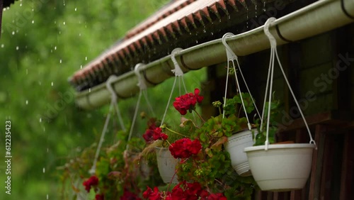 4K video with a massive summer rain over a tiled roof with some beautiful red flowers hanged on it