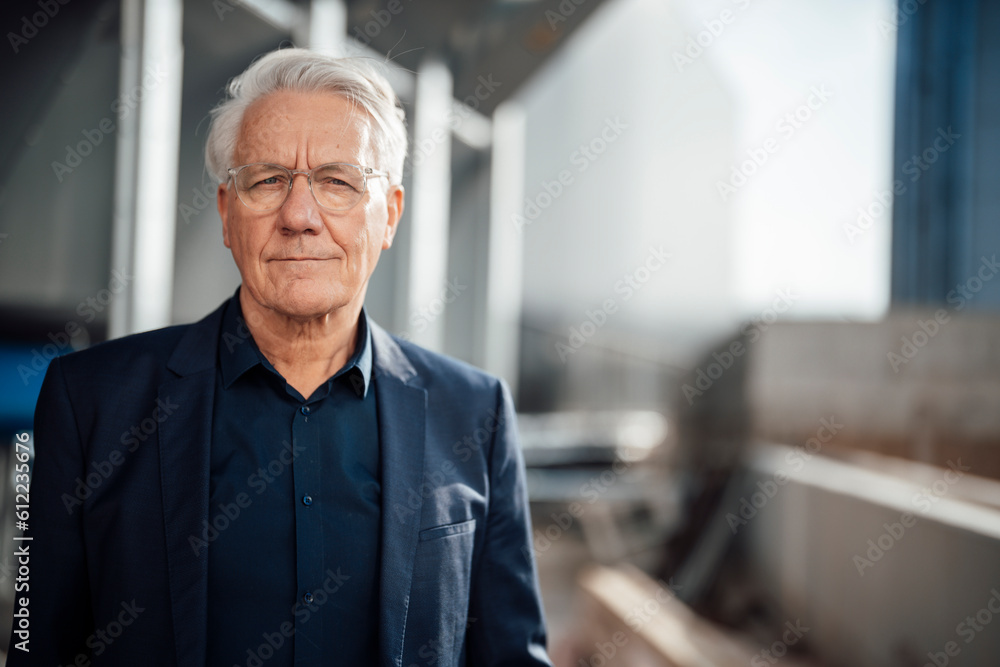 Smiling senior businessman wearing eyeglasses Smiling senior businessman wearing eyeglasses