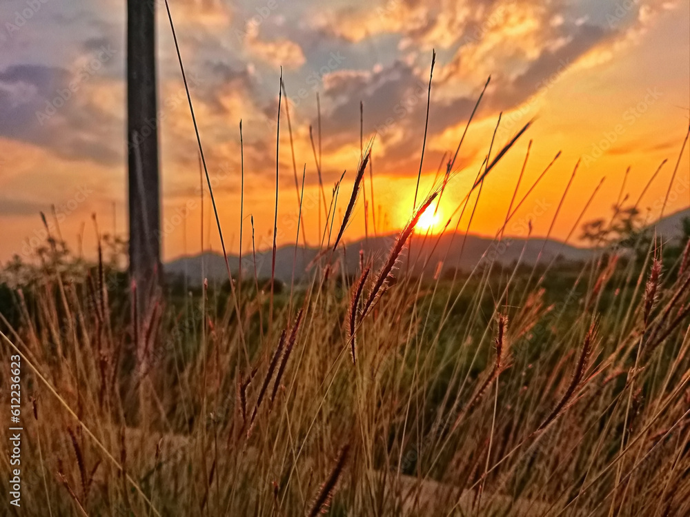 sunset in the field sunset in the field