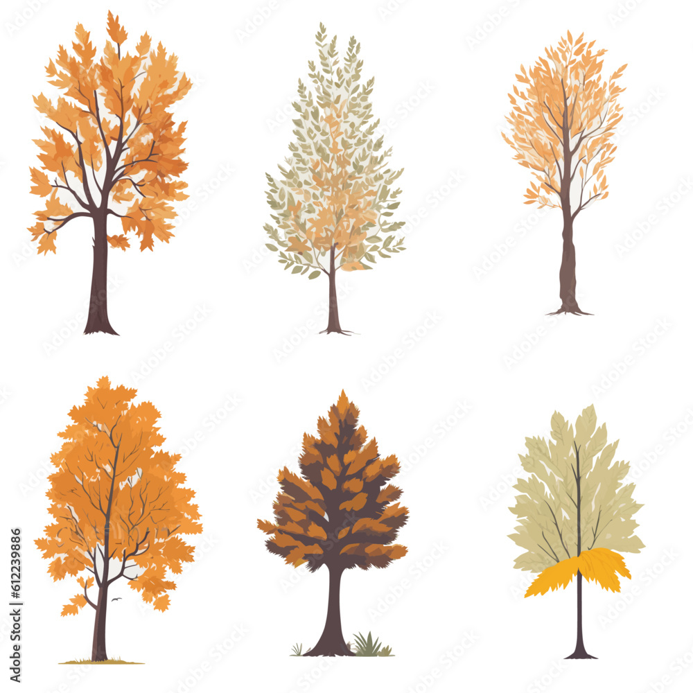 Minimal style tree painting hand drawn. Autumn tree watercolor vector illustration. Set of graphics trees elements drawing for architecture and landscape design. White background Minimal style tree painting hand drawn. Autumn tree watercolor vector illustration. Set of graphics trees elements drawing for architecture and landscape design. White background