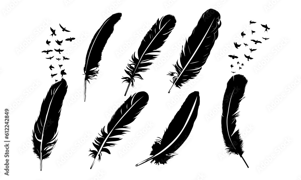 Feather To Birds Vector Graphic Design Feather To Birds Vector Graphic Design