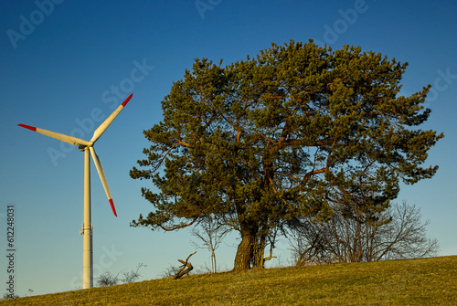 Groß versus Klein, Windturbine und Baum photo