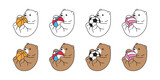 Bear vector polar bear icon beach ball soccer football basketball volleyball character cartoon sport logo teddy symbol doodle animal illustration isolated design