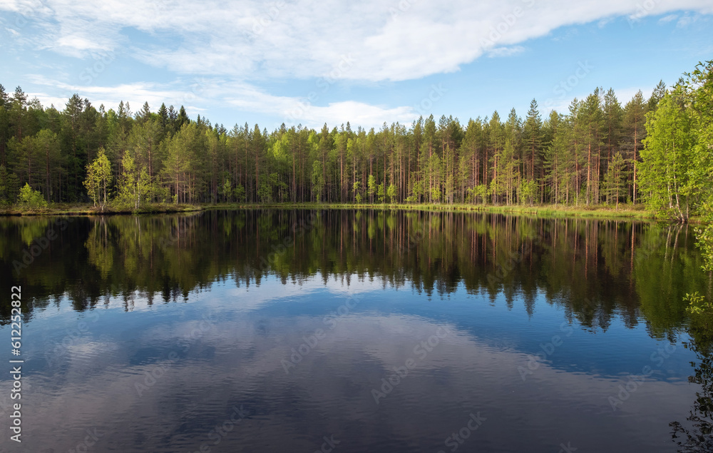 Lake in the Karelian forest. Beautiful summer landscape with a pond and trees.
