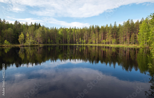 Lake in the Karelian forest. Beautiful summer landscape with a pond and trees.