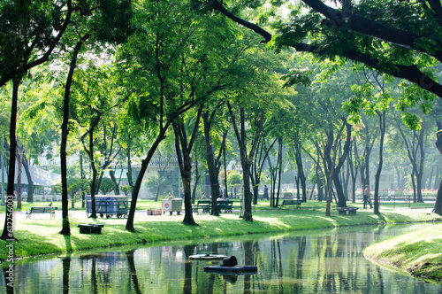 Photography beautiful background images
Shady park and nature in Bangkok, exercise, cycling,
