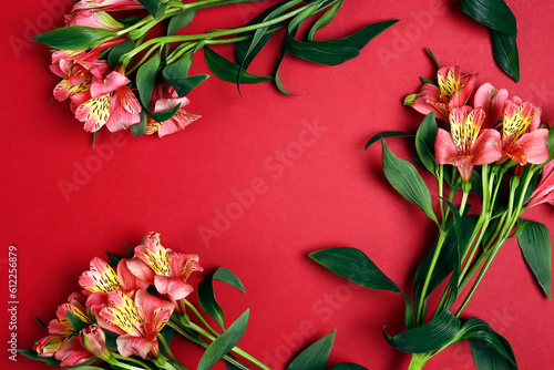 Floral frame of alstroemeria flowers on a red background. Flower greeting card.