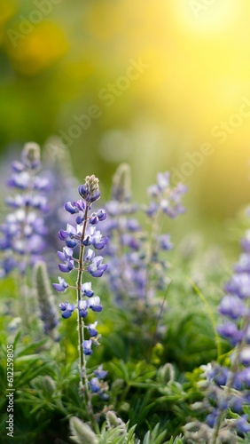 Mesmerizing Close-Up of Lavender Flower in a Sunlit Field: Captivating 4K Image