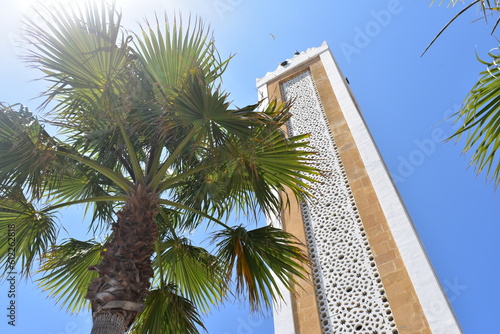 Masjid Lalla Abosh Mosque with Palm Tree