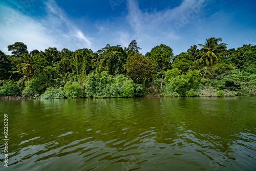 Canal in the national park of Tortuguero with its tropical rainforest along the Caribbean Coast of Costa Rica, Central America.