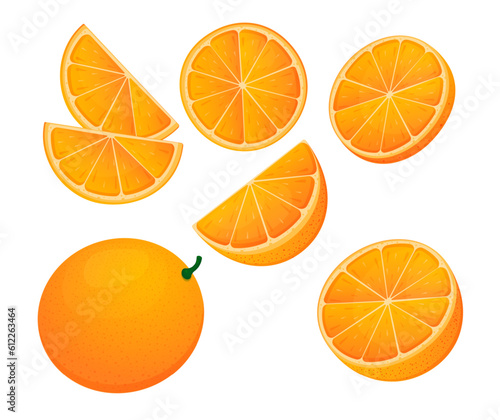 Orange set, half of an orange, orange slices, cartoon, vector illustration for design