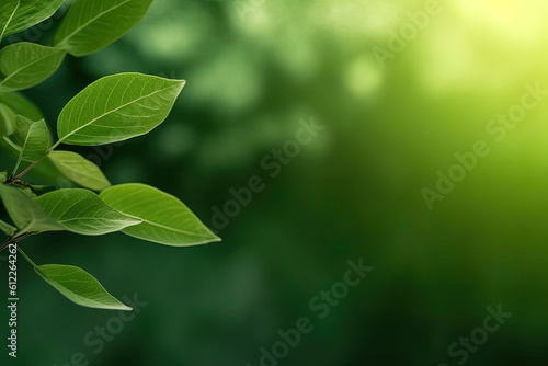 Fresh nature view of green leaf on blurred greenery background in garden with copy space using as a background, natural green plants landscape