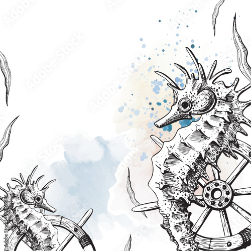 WebSeahorse with ship's wheel and seaweed. Illustration of hand drawn graphics, vector in EPS format. template on white background
