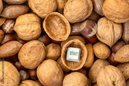 Start button in the shell of a walnut photo