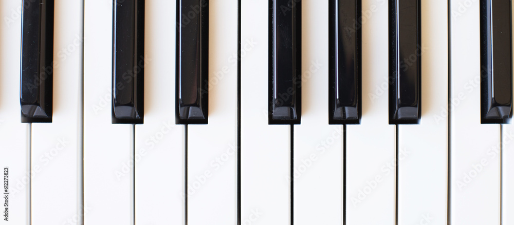 Synthesizer keys black and white background with copy space for your text. Piano octave close up Synthesizer keys black and white background with copy space for your text. Piano octave close up