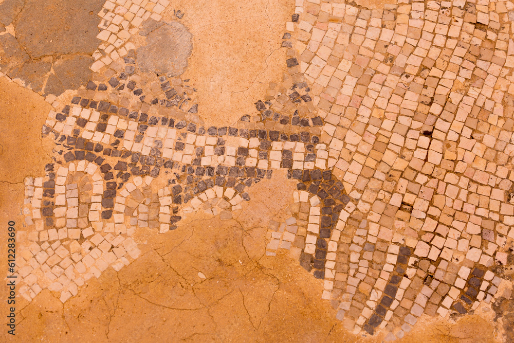 Ancient mosaic of Jerash Gerasa, Jordan historic site Ancient mosaic of Jerash Gerasa, Jordan historic site