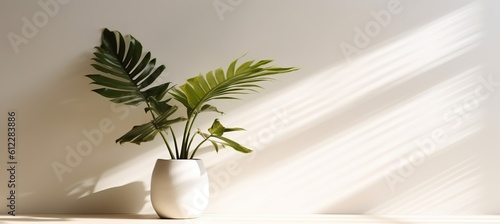 Minimalist style empty room with decorative plant. Generative AI technology. 