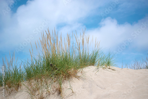 beautiful dunes under cloudy blue sky