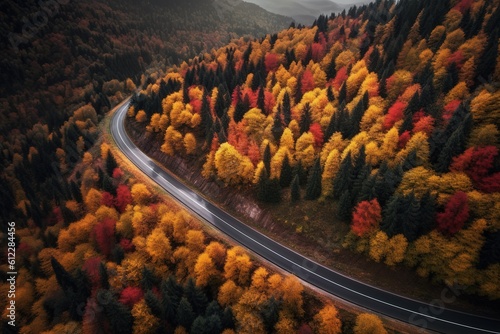 Aerial view of a winding road through a breathtaking autumn forest, symbolizing travel and adventure in the fall season