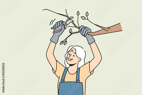 Old woman in uniform cutting branches on tree in garden. Smiling mature pensioner gardening take care of trees. Horticulture and elderly hobby. Vector illustration. 