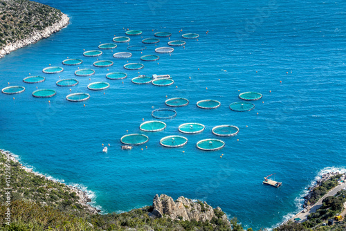 Fotografie Fish sea farm with floating circle cages and coastline in Greece, aerial view
