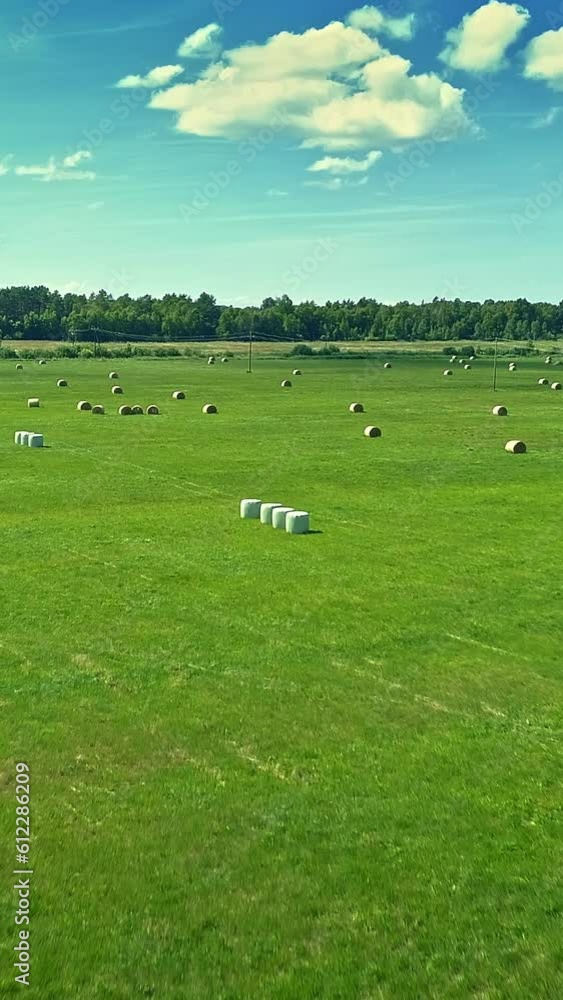 Green field with haystack and fluffy cloud in a blue sky, vertical reels Green field with haystack and fluffy cloud in a blue sky, vertical reels