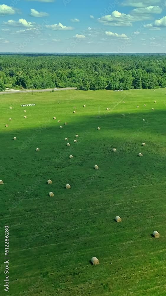 Idyllic landscape, green grass fields and round haystack, forest and fluffy cloud in the sky, vertical reels Idyllic landscape, green grass fields and round haystack, forest and fluffy cloud in the sky, vertical reels