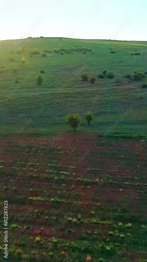 Nature, drone flight over green slope, sparse trees, village, vertical social media reels Nature, drone flight over green slope, sparse trees, village, vertical social media reels