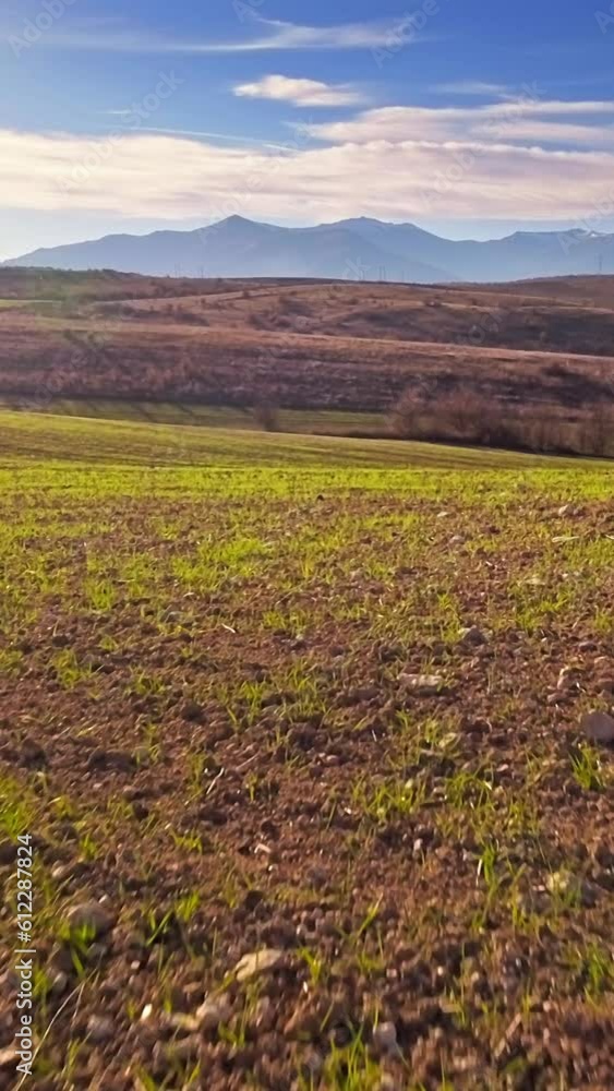 Nature landscape, drone flying over young plants field, vertical wallpaper Nature landscape, drone flying over young plants field, vertical wallpaper