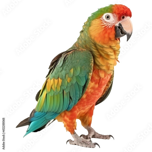 Marrocan ara ararauna parrot isolated. Generative ai art photo