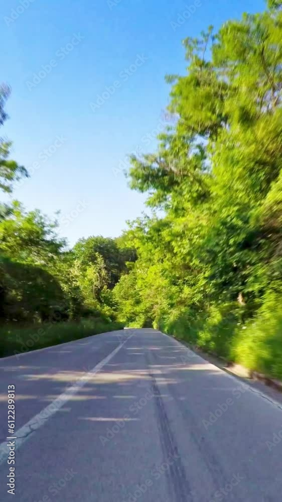 POV car driving, green nature, vertical short video, social media reels POV car driving, green nature, vertical short video, social media reels