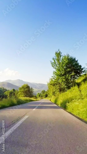 Vertical travel background, POV car drive across green nature, trees along the road