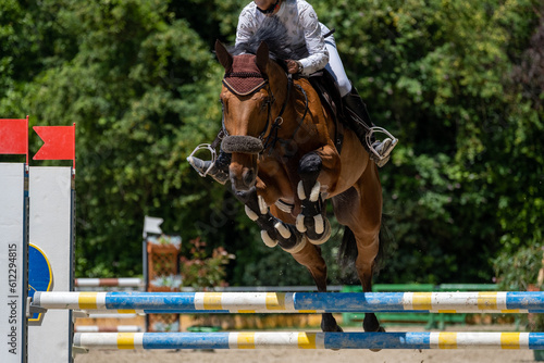 Show jumping competition on horseback. Horse Jumping, Equestrian Sports, Show Jumping themed photo. 
