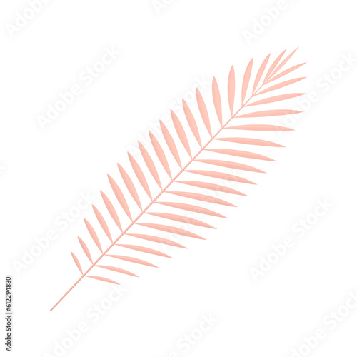 Pink fern tropical tree branch botanical romantic girlish decorative element 3d icon vector