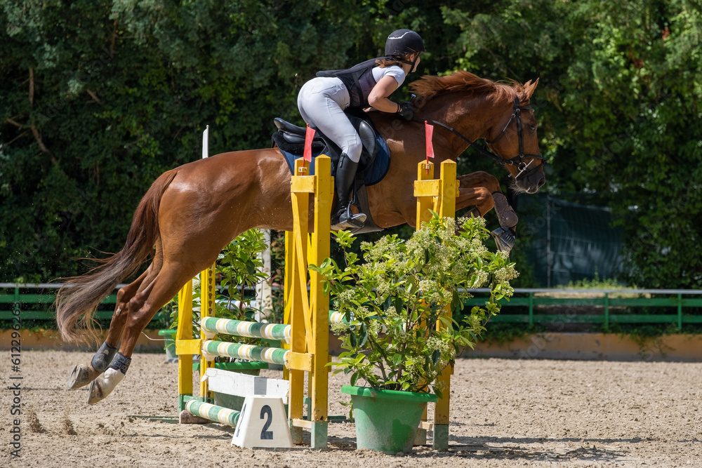 Show jumping competition on horseback. Horse Jumping, Equestrian Sports, Show Jumping themed photo.
