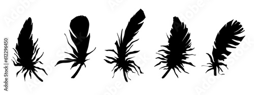 Set of bird feather silhouettes. Vector graphics.