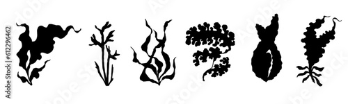 Set of seaweed silhouettes. Vector graphics.