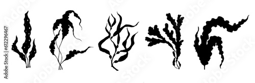 Set of seaweed silhouettes. Vector graphics.