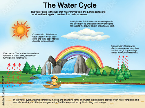 Frog Life Cycle Diagram