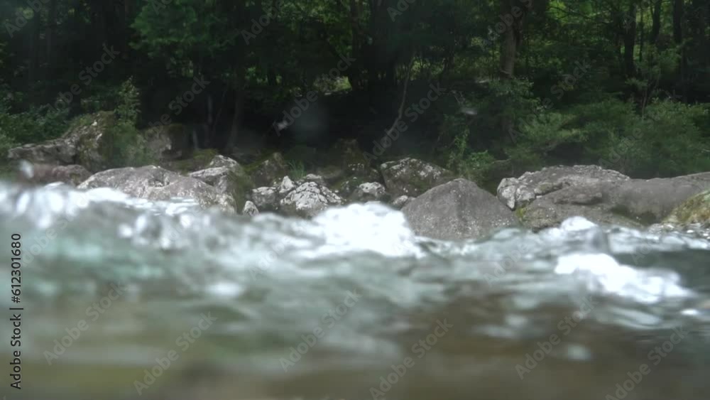 清流の水中と水上の風景　三重県　紀北町　銚子川