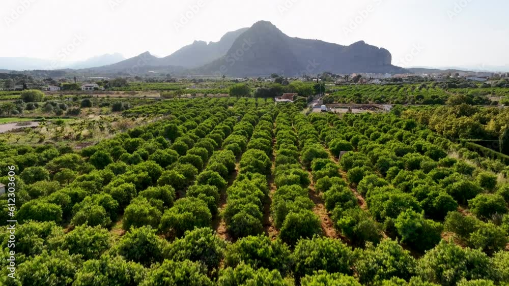 Mountains with cultivated vineyards farmland in Spain Mountains with cultivated vineyards farmland in Spain