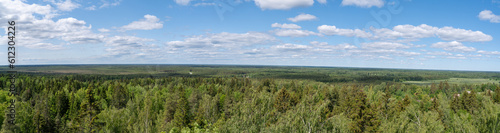 panoram view of estonian landscape